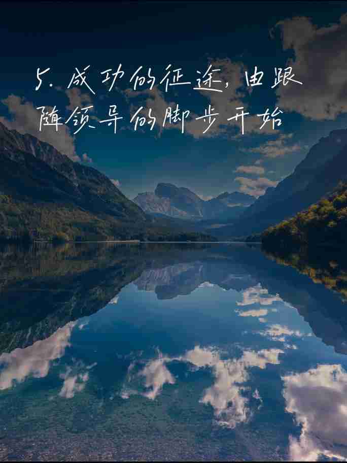 引领你走向成功巅峰