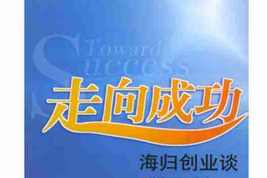 引领你走向成功巅峰