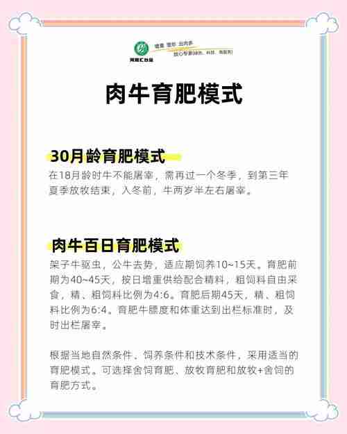 澳洲生存秘籍：手把手教你混成行业大牛