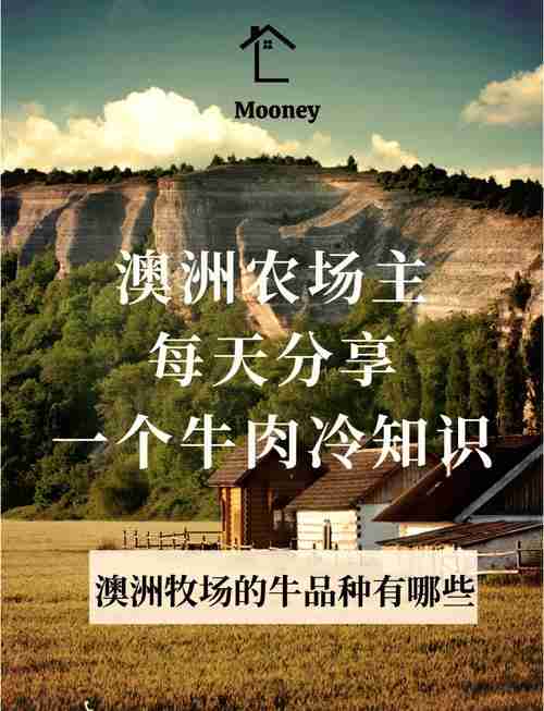 澳洲生存秘籍:手把手教你混成行业大牛